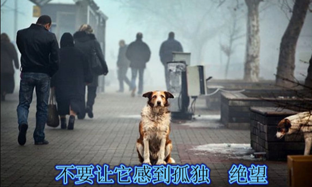 荆门荆门爱影圈微博微信转发案例